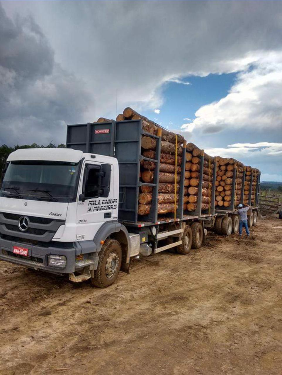 WhatsApp Image 2021-05-17 at 18.19.26.jpeg