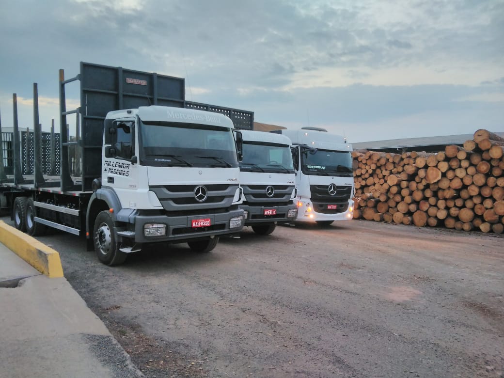 WhatsApp Image 2021-05-17 at 09.57.22.jpeg