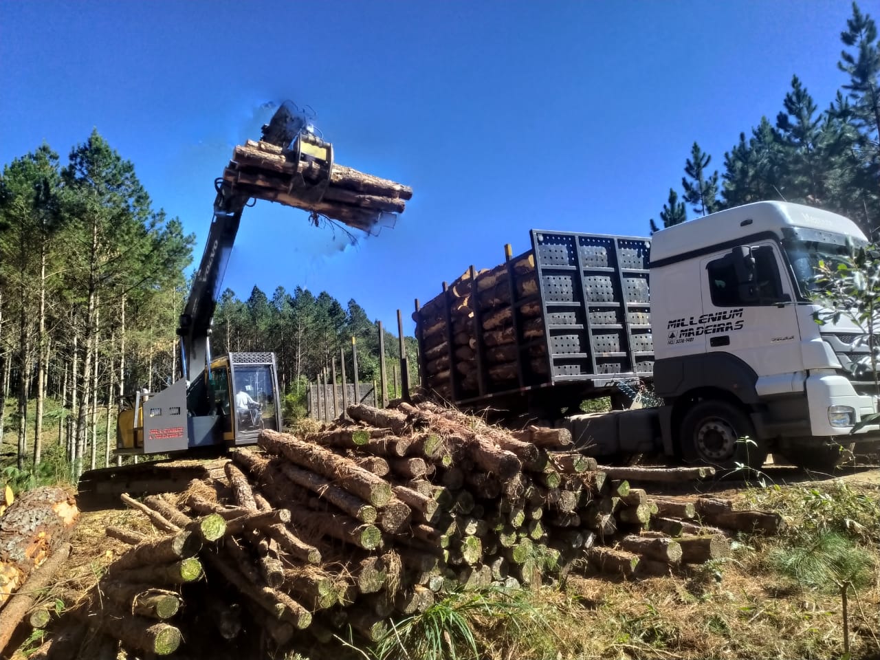 WhatsApp Image 2021-05-18 at 14.44.13.jpeg