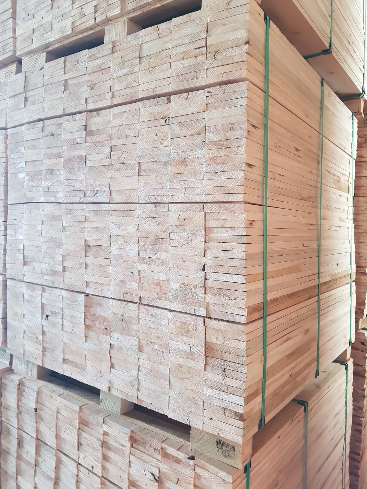 WhatsApp Image 2022-03-21 at 16.27.02 (1).jpeg