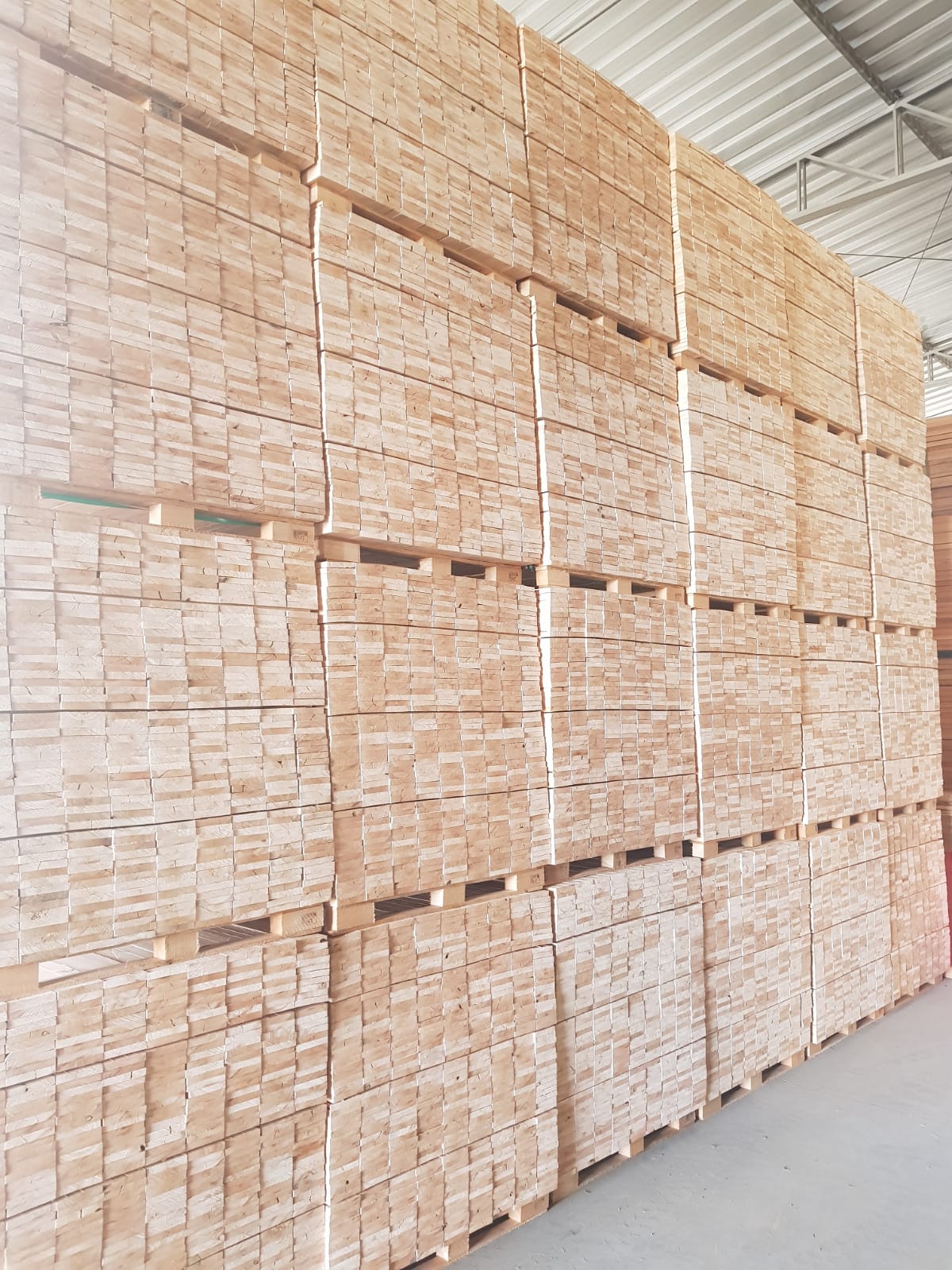 WhatsApp Image 2022-03-21 at 16.27.02.jpeg